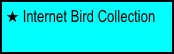  Internet Bird Collection
