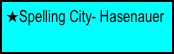Spelling City- Hasenauer