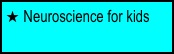  Neuroscience for kids