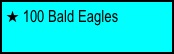  100 Bald Eagles
