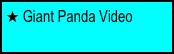  Giant Panda Video